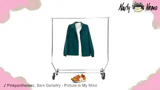 Narlynemo ED 02 | Pinkpantheress, Sam Gellaitry  - Picture in My Mind