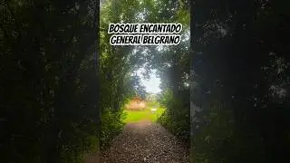 EL BOSQUE ENCANTADO, UN LUGAR M&Aacute;GICO DE LA BELLA GENERAL BELGRANO