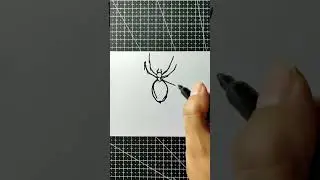 This is My Quick Drawing of Spider