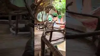 Azulik Museum in Tulum Mexico 🇲🇽