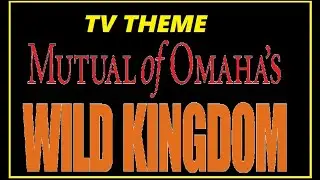 TV THEME - 
