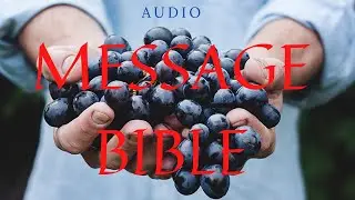 Ephesians Full (Audio Bible & Text) Message Bible | Audio version