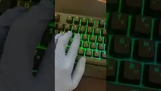 Razer Blackwidow 2019 (SoundTest)