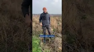 🌱 Zukunftsweine im Demeter-Weingut Geheimrat Schnell in Guntersblum