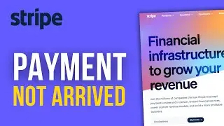 Stripe Payment Successful but No Money in Bank? Fixes for In Transit or Failed Payments in 2026