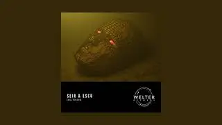 Seir & Escu - Common Sins [WELTER246]