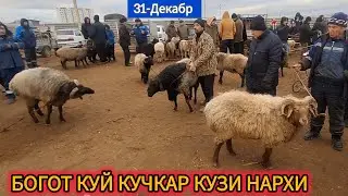 БОГОТ КУЙ КУЧКАР КУЗИ НАРХИ 31-ДЕКАБР 2025-ЙИЛ !!! ХОРАЗМ ОБЗОР 