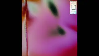 Gaussian Curve - Winter Sun
