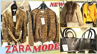 Zara women&rsquo;s new Collection/💓November2025