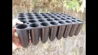 how to use root trainers for trees