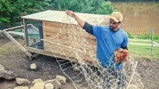 This CHICKEN project did not go the way I wanted it to go