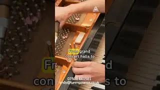 N16 Piano Tuning and Repair in Dalston, Newington Green, & Hackney