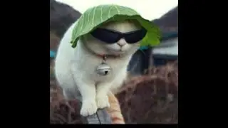 Хороший кфг на crack v3