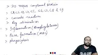 B-cell and T-cell interaction, complement protein