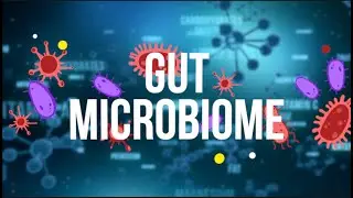 What Is The Gut Microbiome?