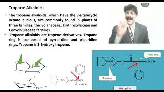 PharmD students Tropane Alkaloids