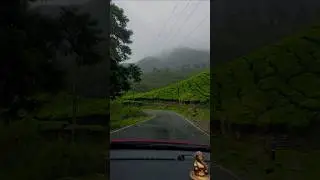 Munnar Rain Drive 🌧️ | Hidden waterfalls,  Scenic Roads, Tea Estates. #kerala