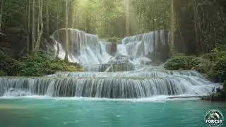 Gentle River Water Flow + Soothing Music &ndash; Sleep Fast Tonight