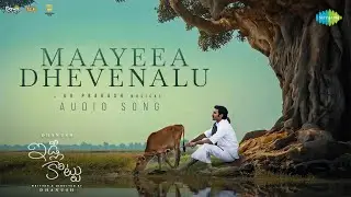 Maayeea Dhevenalu - Audio Song | Idli Kottu | Dhanush, Nithya Menen | GV Prakash Kumar