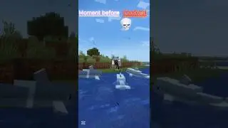 Moment before Dolphin