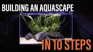 How To Build An Aquascape