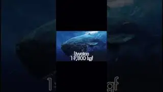 Top 5 Strongest Bite Forces #megalodon #livyatan #deinosuchus #sarcosuchus