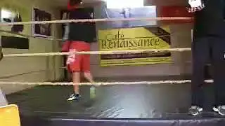 Sparring Alain Kashama 4x3 Fernand 2x3
