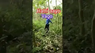 Vagnu vanda aru bikalpa rahena sathi ho #sujan04 #grasscutting #nature #funny #keepsupporting