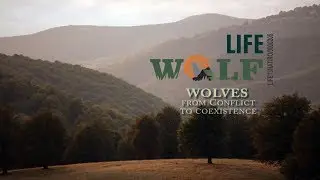 Wolves - From conflict to coexistence
