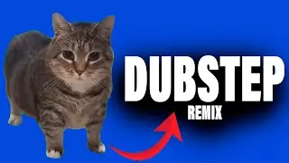 OIIA OIIA CAT (Dubstep Remix by ovasenpai)