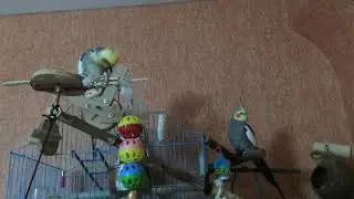 Учим говорить