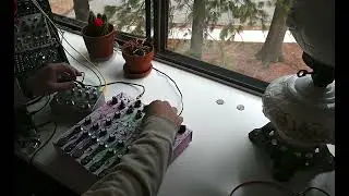 Ambient Exploration / Soma Lyra-8 / AJH Gemini 2412 / Erbe-Verb / Empress Reverb / Zoom H5