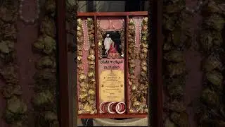 varmala #preservation #resinvarmala #hanumangarh #viralvideo
