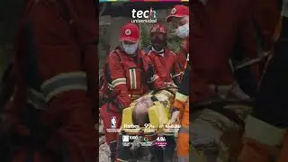 Gesti&oacute;n de Riesgos, Emergencias y Desastres: liderazgo y precisi&oacute;n cl&iacute;nica ❘ TECH Universidad