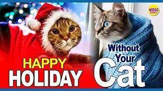 HAPPY HOLIDAY !! Without Your Cat - Holiday safety tips for cat lover