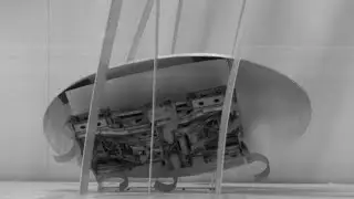 Cockroach robot uses curves to get through gap