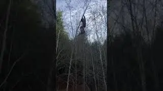 Guy Climbing Tree Falls After Branch Breaks - 1033553