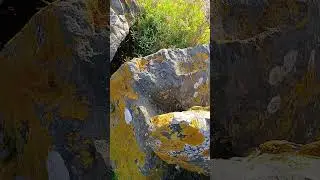 La muraille des rochers jusqu'&agrave; Fouras. 
