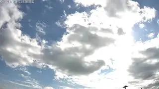 Tapo C216 Time-lapse video (2)