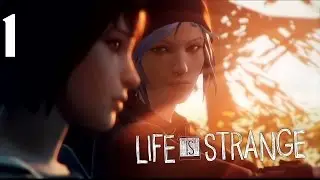 Life Is Strange Walkthrough HD Episode 5 - Polarized (Part 1)