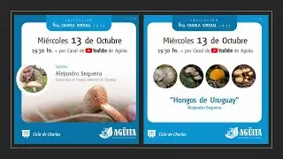 Hongos de Uruguay