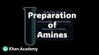 Preparation of amines | Amines | Grade 12 | Chemistry | Khan Academy