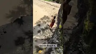 Hidden Beach in American Samoa 🇦🇸 #beach #youtubeshort #travel #travel explore #metaglasses