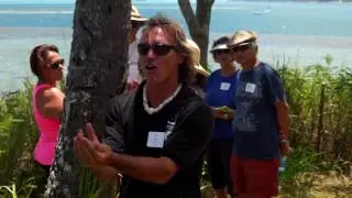 Spotlight: Windward CC alumnus Ian Masterson