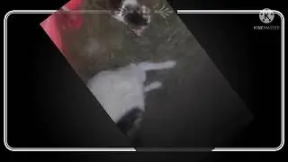 THENAO(THAKENAO) , MINU MAKHOI ANINA EINA THOGAL FAMBDA SANGLIBNI