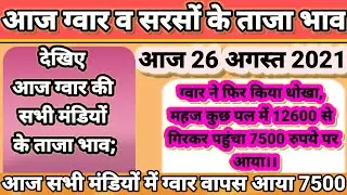 आज ग्वार ने फिर किया धोखा 12500 रुपए से महज 40 या 45 मिनट में बिकने लगा 7500 रुपए।।🤭🤭