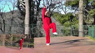 Yun Hua Taiji form YIJI