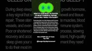 ✨ Night Repair Switch On STEM CELLS 🧬