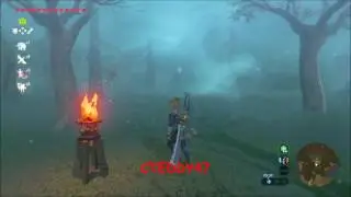 Cheminement pour sortir des bois perdus sur Zelda Breath of The Wild BotW