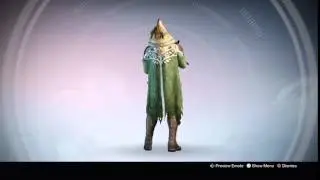 Destiny - Hunter Iron Companion Armor Set